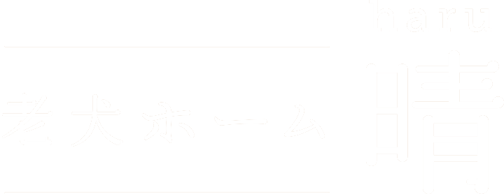 老犬ホーム晴